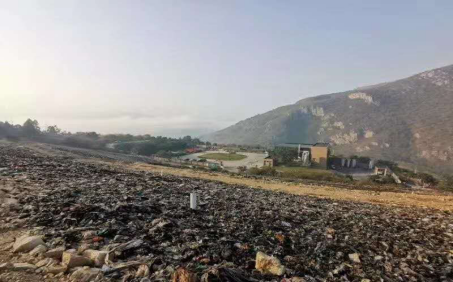 昔日“垃圾山”今朝“花海洋” 西区这个地方美出新高度