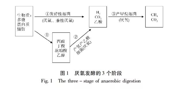 干式厌氧发酵技术在城市环保中的作用